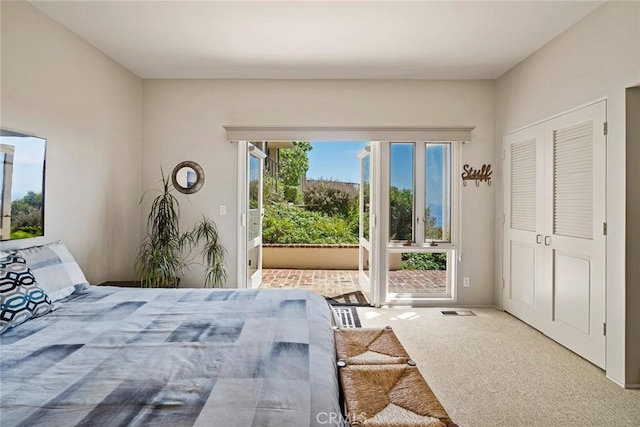 bedroom featuring carpet