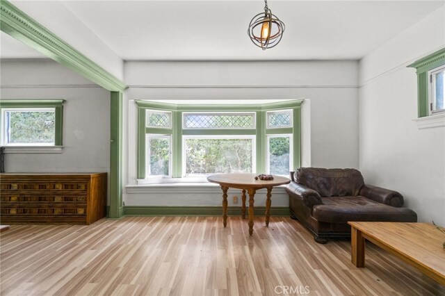 living area featuring light hardwood / wood-style flooring