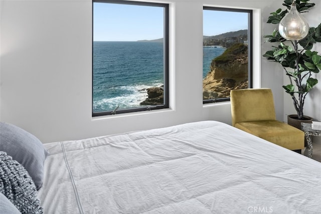 bedroom featuring a water view