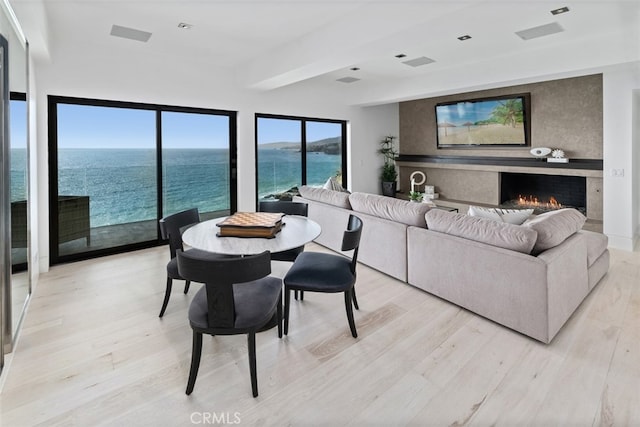 living room featuring a fireplace and light hardwood / wood-style flooring