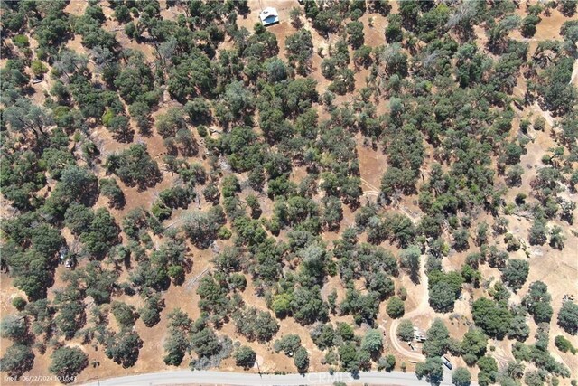 5152 Boyer Rd, Mariposa, CA 95338 - photo 9
