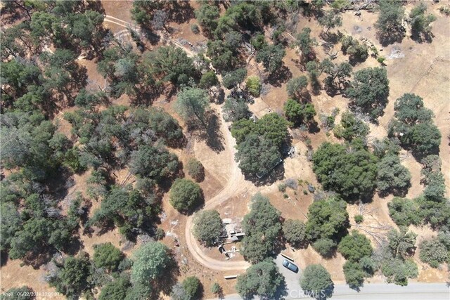 5152 Boyer Rd, Mariposa, CA 95338 - photo 10