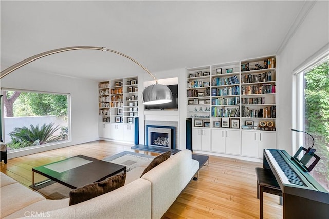 living room with built in features and light hardwood / wood-style flooring