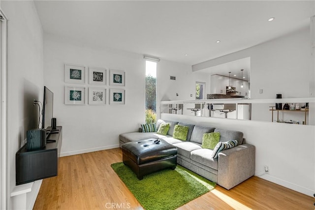 living room featuring hardwood / wood-style floors