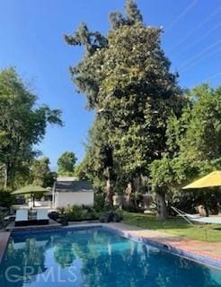 view of swimming pool