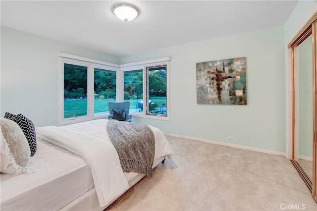 bedroom featuring carpet floors and a closet