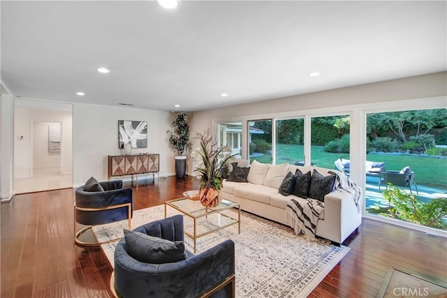 living room featuring dark wood-type flooring