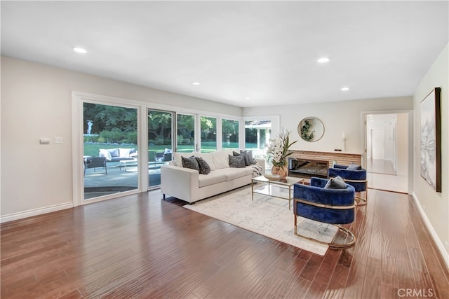 living room with a fireplace and wood-type flooring