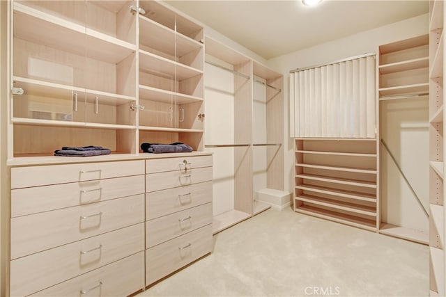 walk in closet with carpet flooring