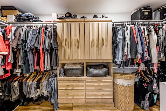 spacious closet with wood-type flooring