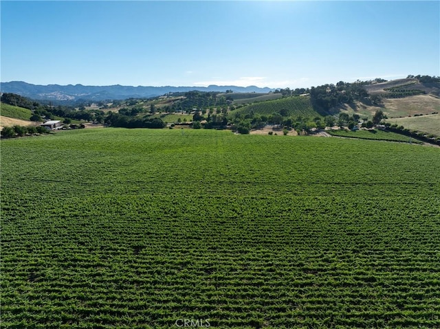 birds eye view of property featuring a mountain view and a rural view