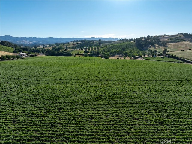 9480 Chimney Rock Rd, Paso Robles, CA 93446 - photo 18