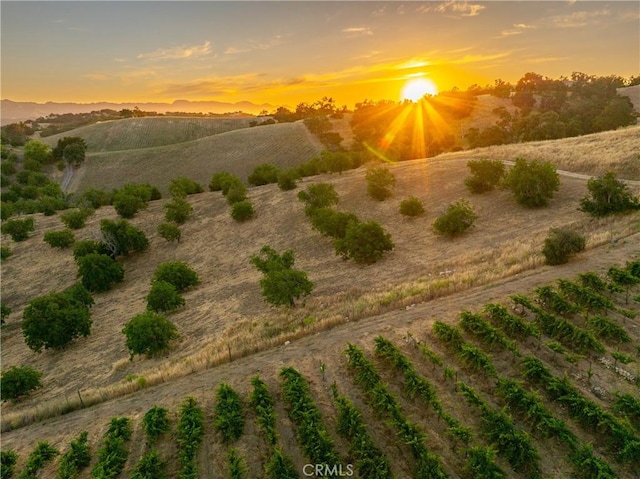 9480 Chimney Rock Rd, Paso Robles, CA 93446 - photo 53