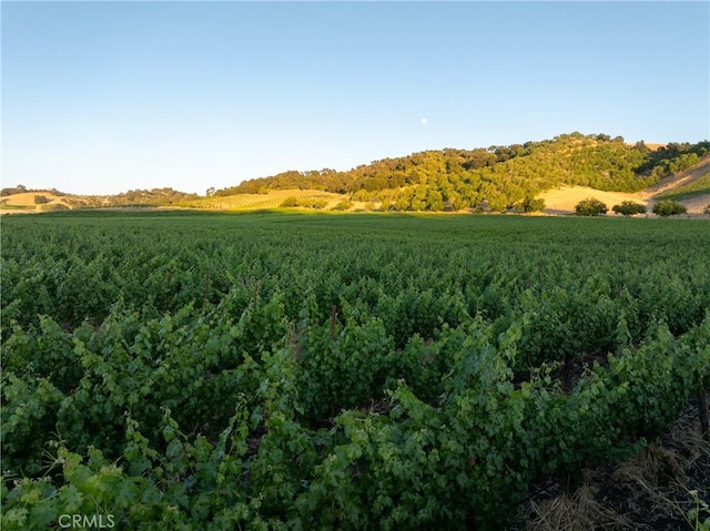 view of nature with a rural view