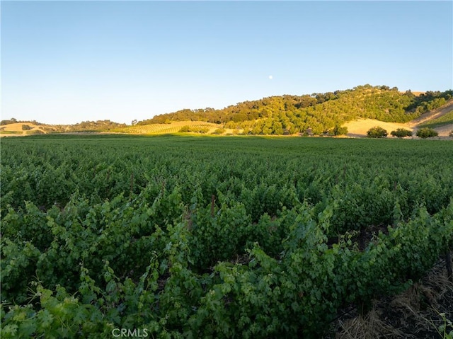 9480 Chimney Rock Rd, Paso Robles, CA 93446 - photo 66