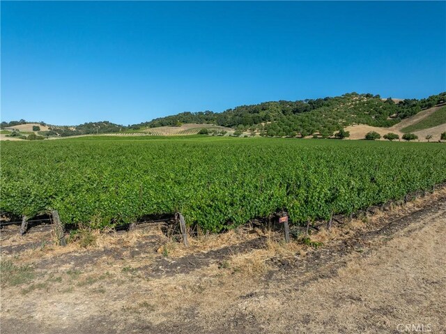 9480 Chimney Rock Rd, Paso Robles, CA 93446 - photo 49