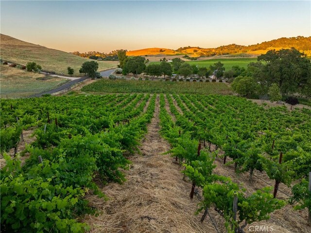 9480 Chimney Rock Rd, Paso Robles, CA 93446 - photo 64