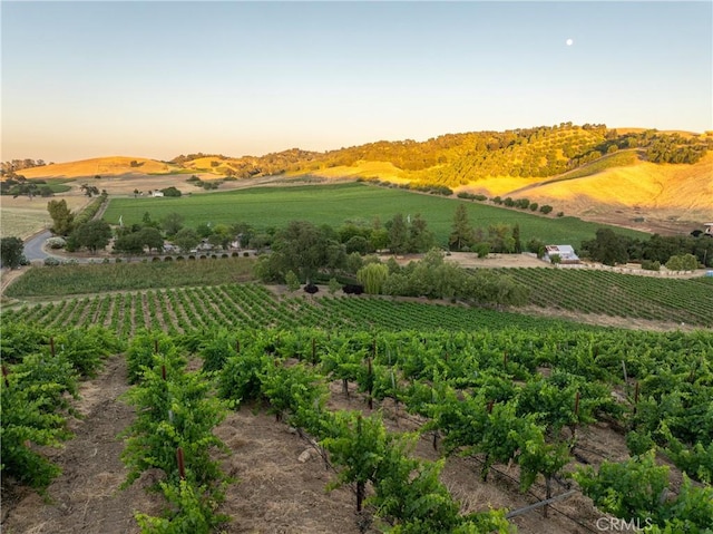view of home's community featuring a rural view