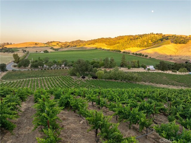 9480 Chimney Rock Rd, Paso Robles, CA 93446 - photo 68
