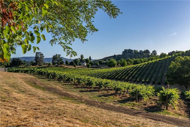 view of yard featuring a mountain view and a rural view