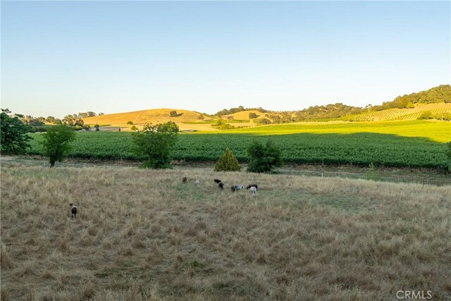 9480 Chimney Rock Rd, Paso Robles, CA 93446 - photo 67