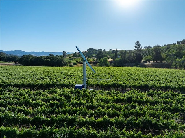 view of home's community featuring a mountain view and a rural view