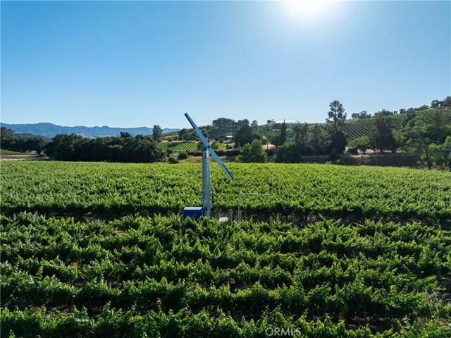 9480 Chimney Rock Rd, Paso Robles, CA 93446 - photo 48