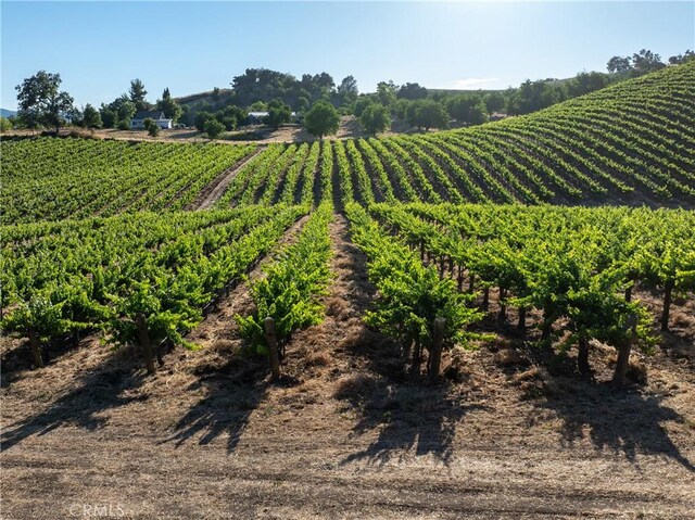 9480 Chimney Rock Rd, Paso Robles, CA 93446 - photo 17