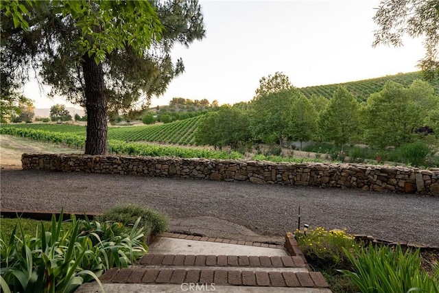 view of yard with a rural view