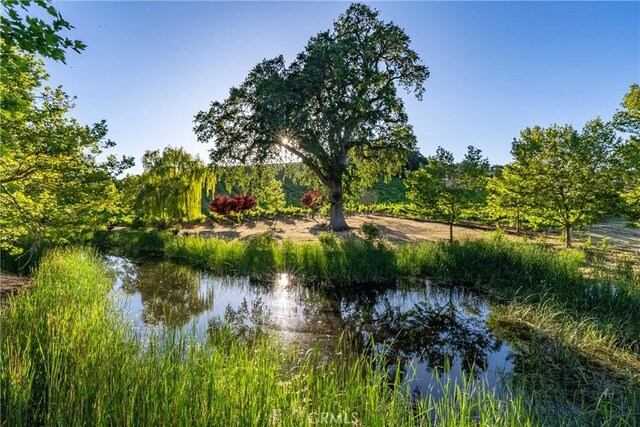 9480 Chimney Rock Rd, Paso Robles, CA 93446 - photo 54