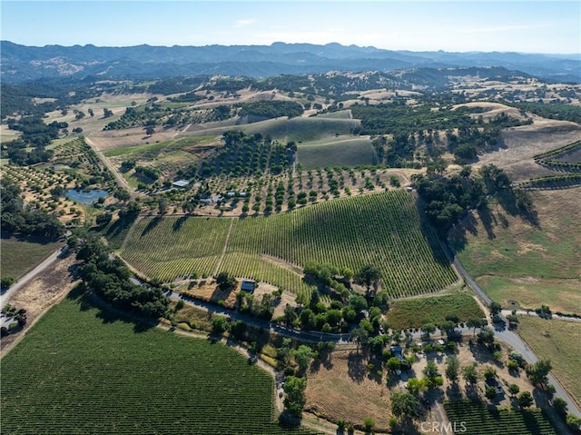 birds eye view of property with a mountain view and a rural view