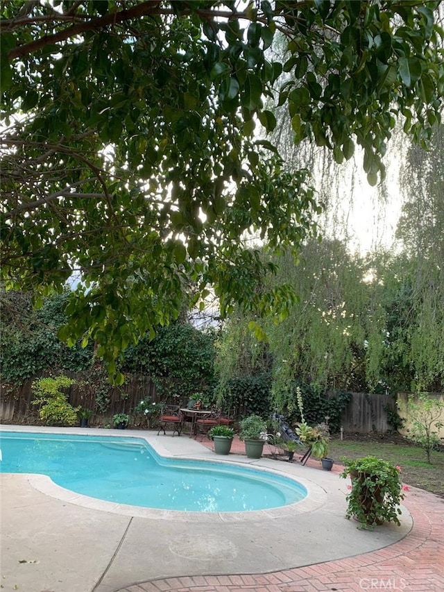 view of pool with a patio area