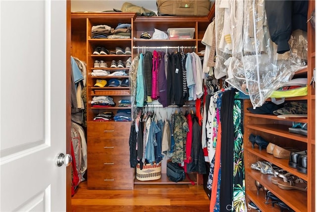 spacious closet with wood-type flooring