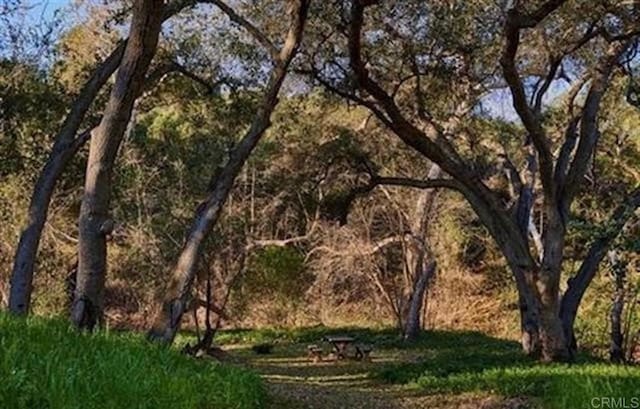 view of nature