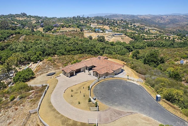 drone / aerial view