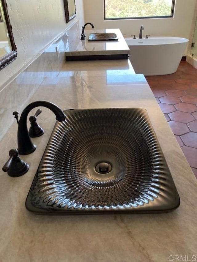 details with a freestanding tub and a sink