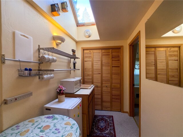 interior space with vaulted ceiling with skylight