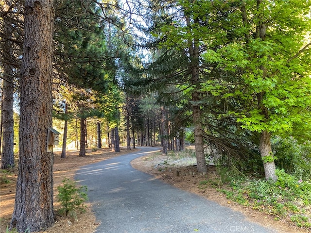 view of road