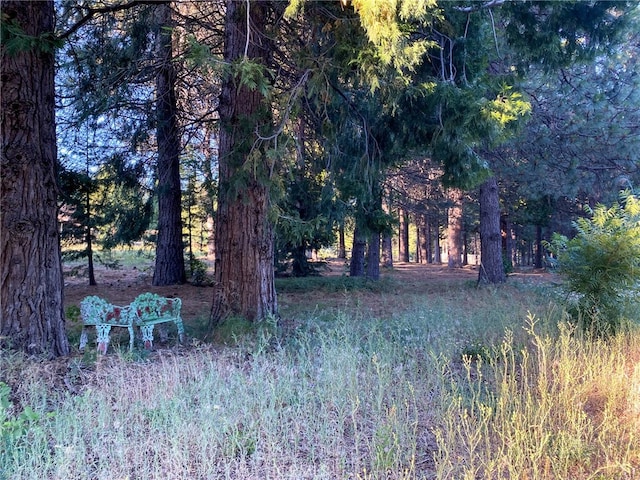 view of landscape