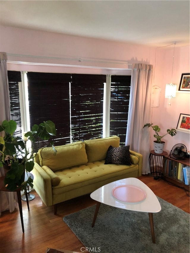 living room featuring wood-type flooring