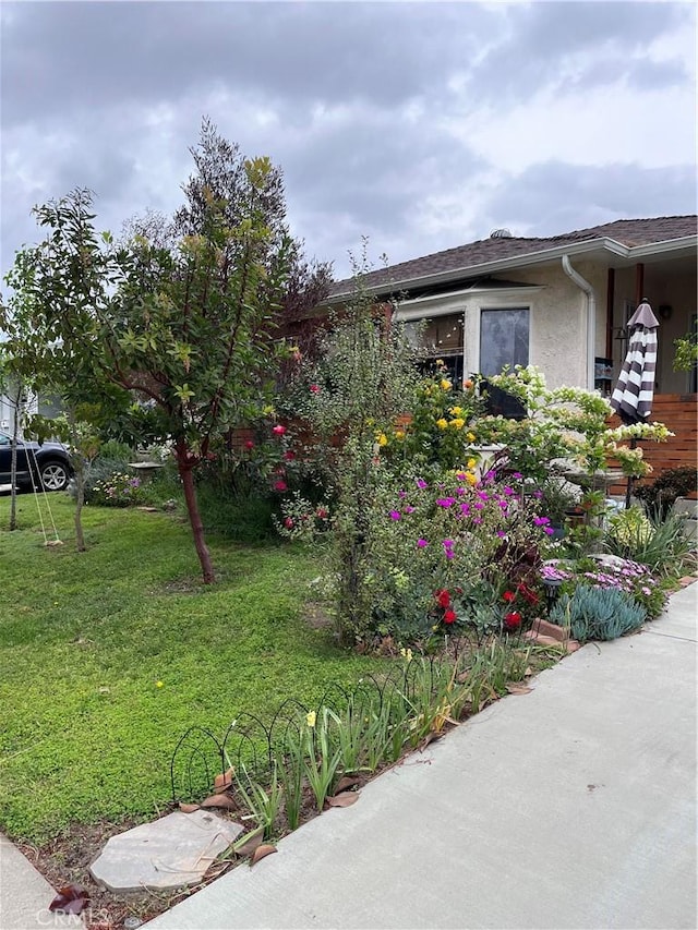 view of side of property featuring a lawn and stucco siding