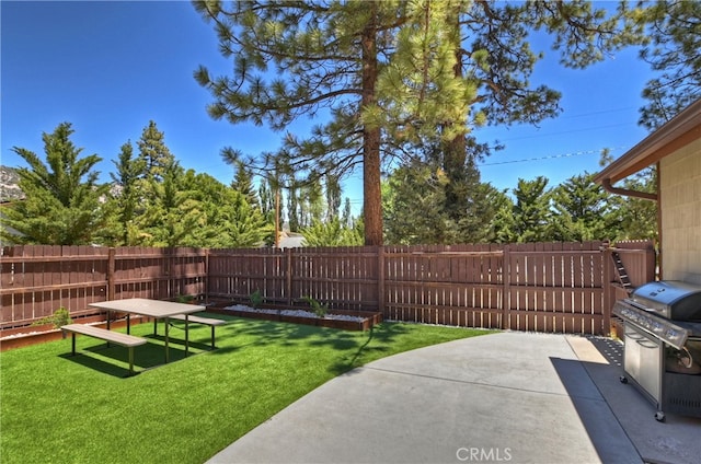 view of yard with a patio area