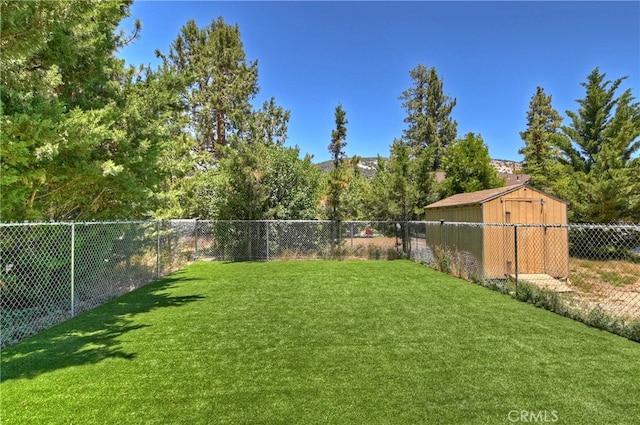 view of yard with a storage unit