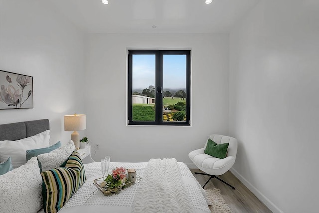 bedroom with light hardwood / wood-style floors