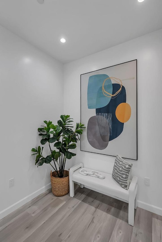 sitting room featuring light wood-type flooring