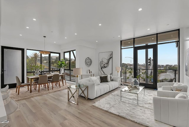 living room featuring a wall of windows, plenty of natural light, and light hardwood / wood-style floors