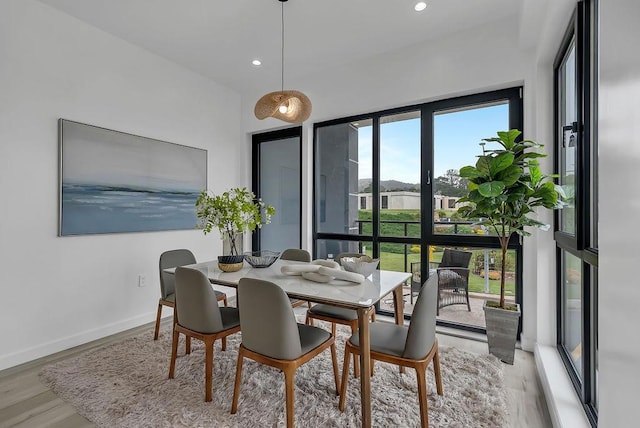 dining space with light wood-type flooring and a healthy amount of sunlight