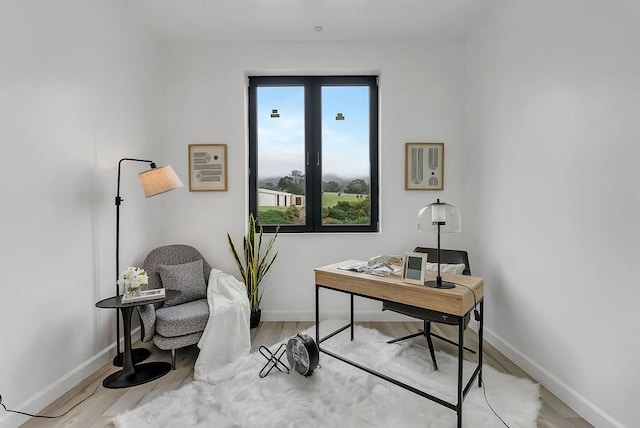 office with light hardwood / wood-style flooring