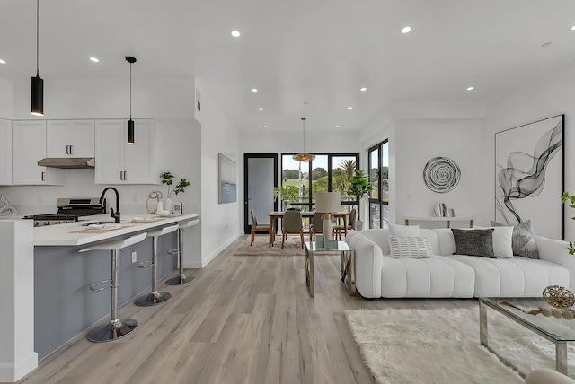 living room with light wood-type flooring and sink