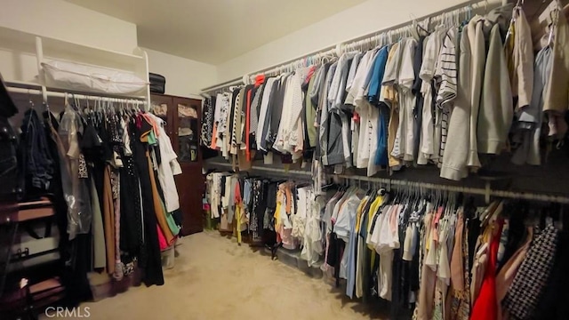 spacious closet with carpet flooring